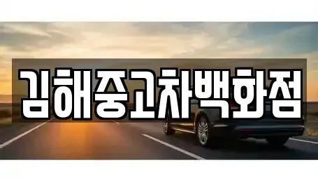 경상남도 김해시 이동 중고차 전문 김해중고차백화점