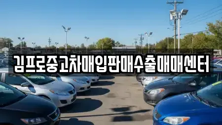 경상남도 진주시 중안동 중고차매매 전문 김프로중고차매입판매수출매매센터