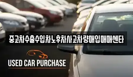경상남도 진주시 평거동 중고차매입 전문 중고차수출수입차노후차사고차량매입매매센타