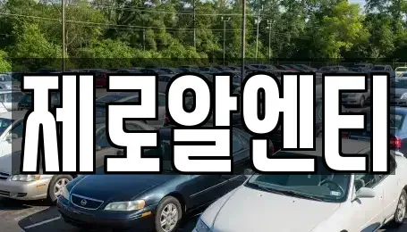 경상남도 창원시 마산합포구 동성동 렌트카 전문 제로알엔티