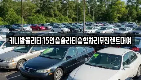 경상남도 창원시 마산합포구 유록동 렌트카 전문 카니발쏠라티15인승솔라티승합차리무진렌트대여