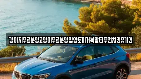 경상남도 창원시 마산합포구 유록동 중고차매입 전문 강아지무료분양고양이무료분양입양토끼거북말티푸먼치킨유기견