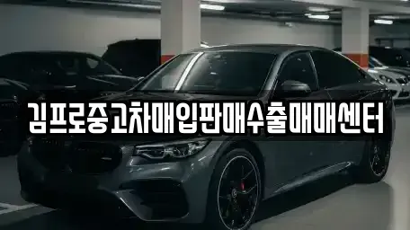 경상남도 창원시 마산합포구 유록동 중고차매입 전문 김프로중고차매입판매수출매매센터