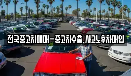 경상남도 창원시 마산합포구 유록동 중고차매입 전문 전국중고차매매-중고차수출,사고노후차매입