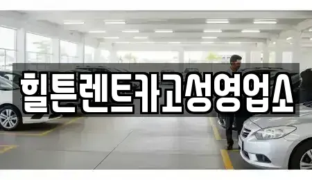 경상남도 창원시 마산합포구 진전면 렌트카 전문 힐튼렌트카고성영업소