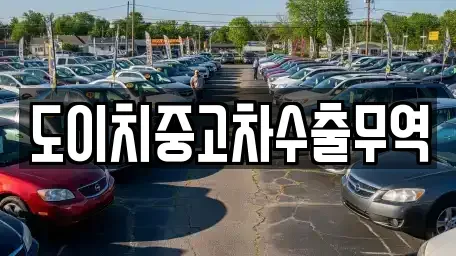 경상남도 창원시 마산합포구 진전면 중고차 전문 도이치중고차수출무역