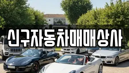 경상남도 창원시 마산합포구 진전면 중고차 전문 신구자동차매매상사