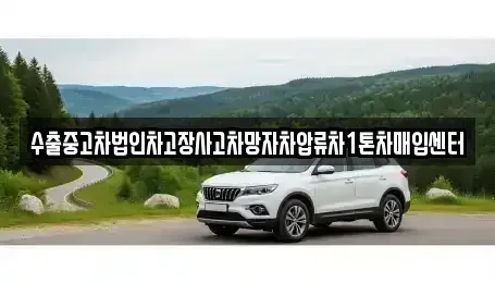 경상남도 창원시 마산합포구 진전면 중고차매입 전문 수출중고차법인차고장사고차망자차압류차1톤차매입센터