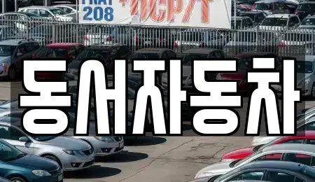 경상남도 창원시 마산합포구 추산동 중고차매매 전문 동서자동차