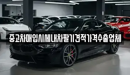경상남도 창원시 마산합포구 추산동 중고차매입 전문 중고차매입시세내차팔기견적가격수출업체
