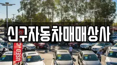경상남도 창원시 성산구 귀현동 중고차매매 전문 신구자동차매매상사
