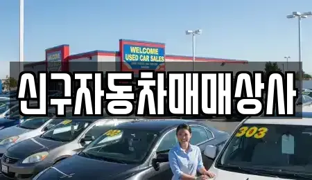 경상남도 창원시 성산구 귀현동 중고차매매 전문 신구자동차매매상사