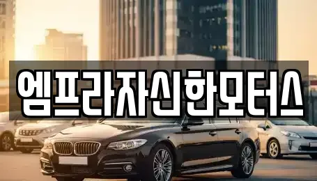 경상남도 창원시 성산구 귀현동 중고차매매 전문 엠프라자신한모터스