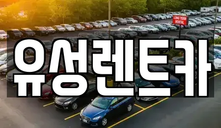 경상남도 창원시 성산구 렌트카 전문 유성렌트카