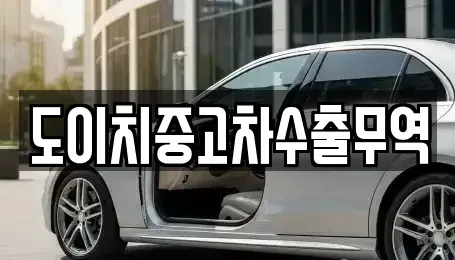 경상남도 창원시 성산구 상복동 중고차 전문 도이치중고차수출무역