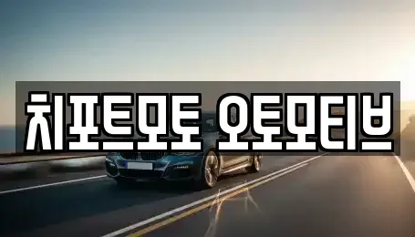경상남도 창원시 성산구 신촌동 중고차매입 전문 치포트모토 오토모티브