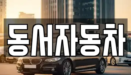 경상남도 창원시 성산구 용지동 중고차 전문 동서자동차