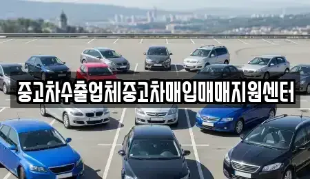 경상남도 창원시 성산구 용지동 중고차매입 전문 중고차수출업체중고차매입매매지원센터