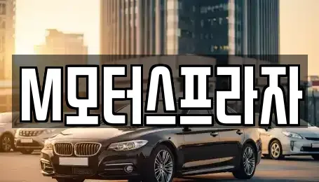 경상남도 창원시 성산구 중고차매매 전문 M모터스프라자