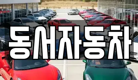 경상남도 창원시 의창구 소계동 중고차 전문 동서자동차