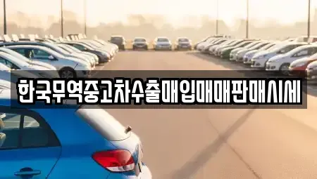 경상남도 창원시 의창구 소계동 중고차매입 전문 한국무역중고차수출매입매매판매시세