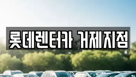 경상남도 통영시 단기렌트카 전문 롯데렌터카 거제지점