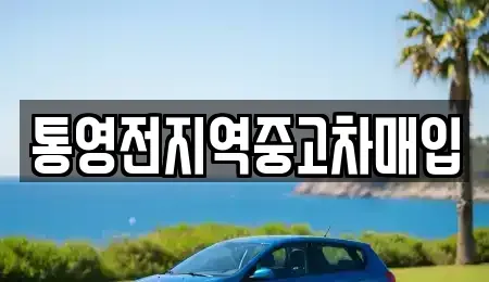 경상남도 통영시 도천동 중고차 전문 통영전지역중고차매입