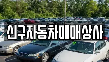 경상남도 통영시 중고차매매 전문 신구자동차매매상사
