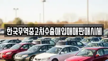 경상남도 통영시 중고차매매 전문 한국무역중고차수출매입매매판매시세