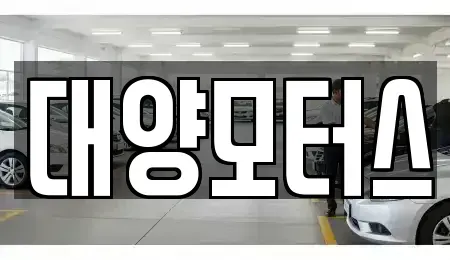 경상남도 하동군 금성면 중고차 전문 대양모터스