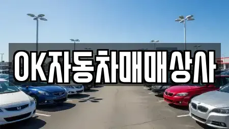 경상남도 하동군 금성면 중고차매매 전문 OK자동차매매상사