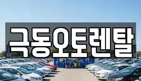 경상북도 경산시 삼풍동 렌트카 전문 극동오토렌탈