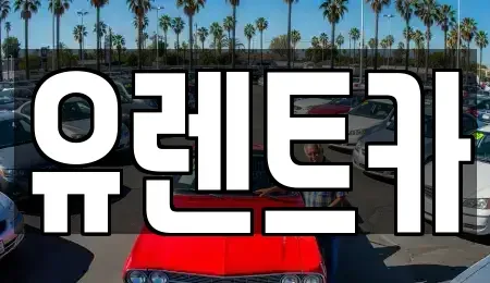 경상북도 경산시 삼풍동 렌트카 전문 유렌트카