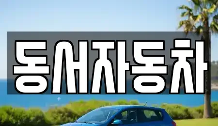 경상북도 경산시 삼풍동 중고차 전문 동서자동차