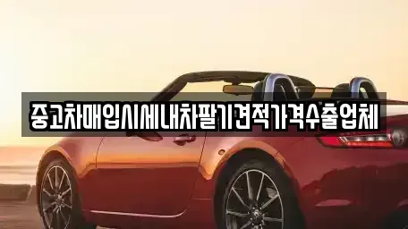 경상북도 경산시 삼풍동 중고차 전문 중고차매입시세내차팔기견적가격수출업체