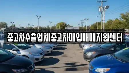 경상북도 경산시 삼풍동 중고차매입 전문 중고차수출업체중고차매입매매지원센터
