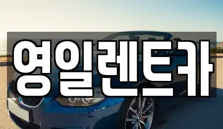 경상북도 경산시 와촌면 렌트카 전문 영일렌트카