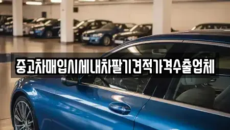 경상북도 경산시 와촌면 중고차 전문 중고차매입시세내차팔기견적가격수출업체