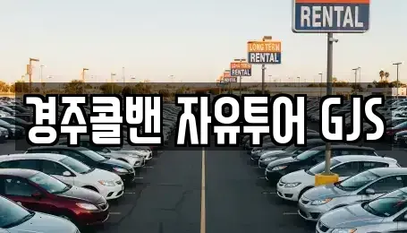 경상북도 경주시 서면 렌트카 전문 경주콜밴 자유투어 GJS
