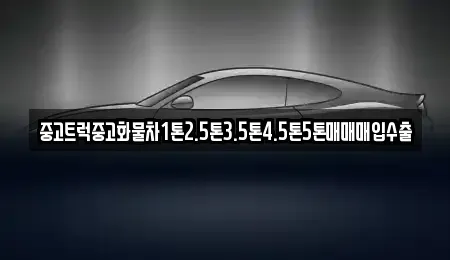 경상북도 문경시 신기동 중고차 전문 중고트럭중고화물차1톤2.5톤3.5톤4.5톤5톤매매매입수출