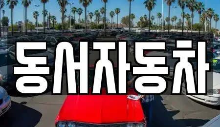 경상북도 상주시 서곡동 중고차매매 전문 동서자동차