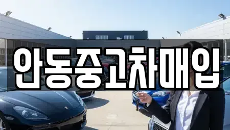경상북도 안동시 상아동 중고차 전문 안동중고차매입