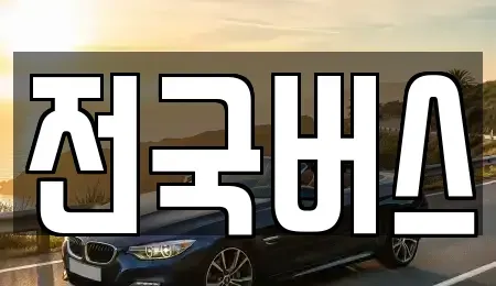 경상북도 영천시 도남동 중고차매매 전문 전국버스