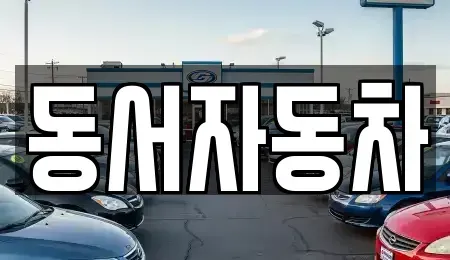 경상북도 포항시 북구 기계면 중고차매매 전문 동서자동차