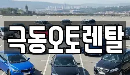 경상북도 포항시 북구 대흥동 렌트카 전문 극동오토렌탈
