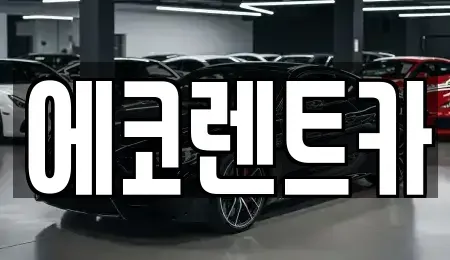 광주 광산구 박호동 렌트카 전문 에코렌트카