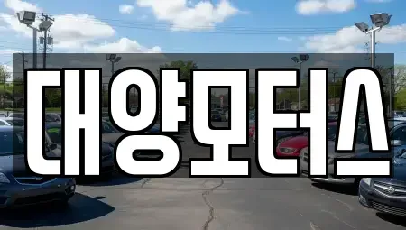 광주 광산구 박호동 중고차 전문 대양모터스