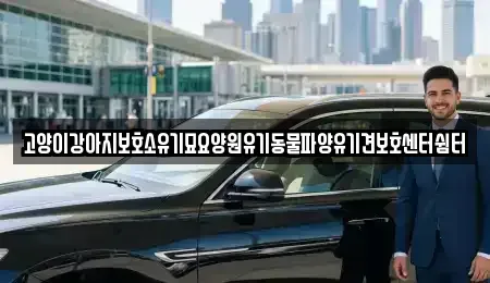 광주 광산구 지평동 중고차 전문 고양이강아지보호소유기묘요양원유기동물파양유기견보호센터쉼터