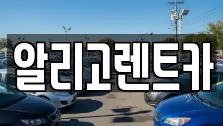 광주 단기렌트카 전문 알리고렌트카