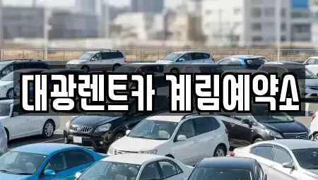 광주 동구 동명동 장기렌트카 전문 대광렌트카 계림예약소